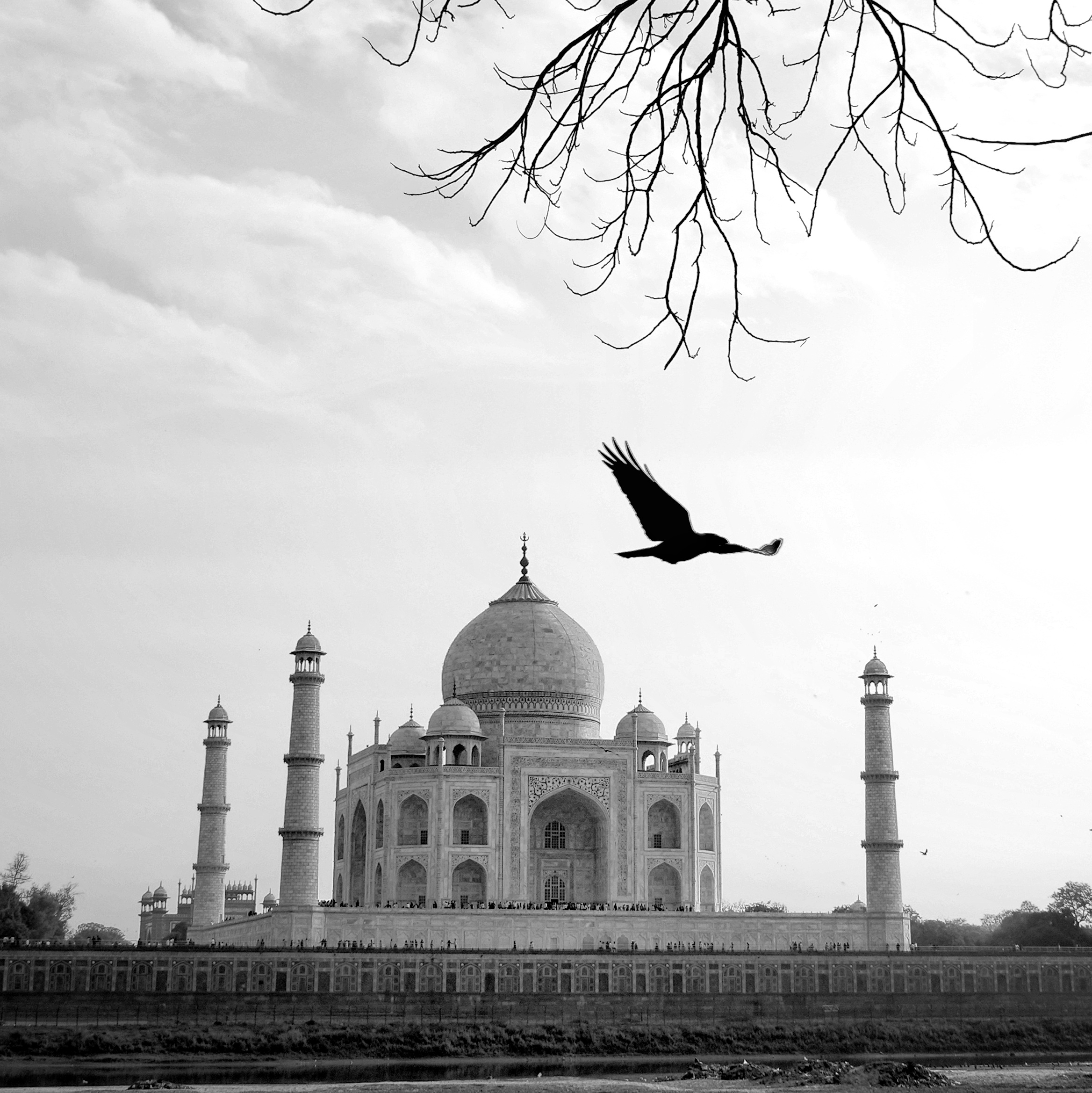 Tajmahal photograph 8
